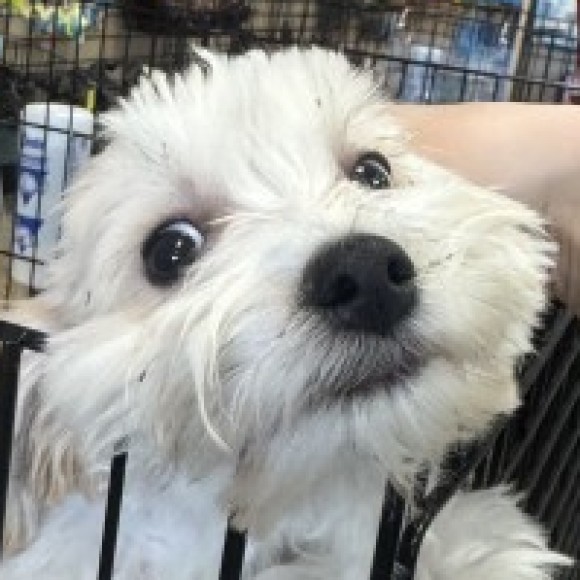 Profile photo of Sky