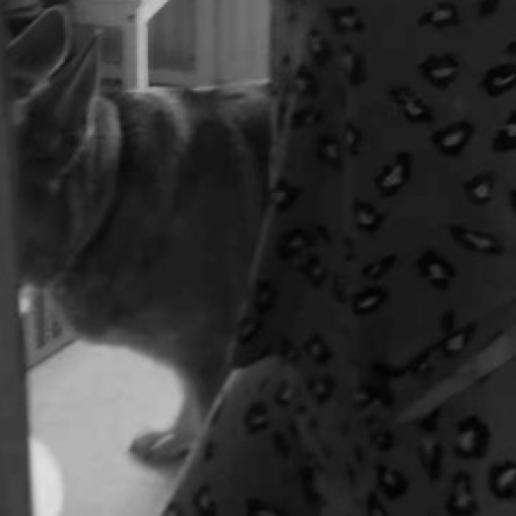 Profile photo of Keira Louise