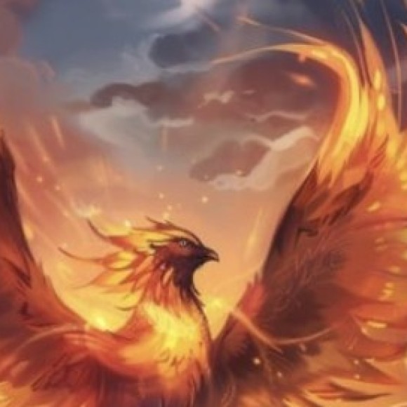 Profile photo of J Watson