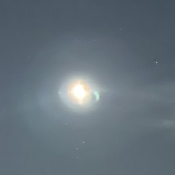 Profile photo of xcvbnm23