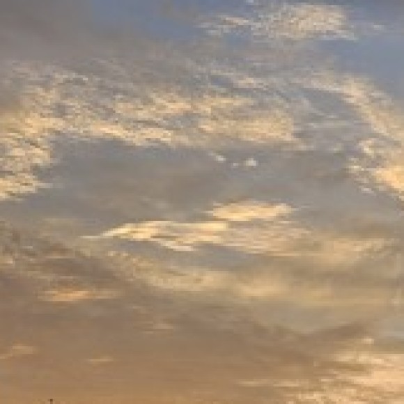 Profile photo of Sierra