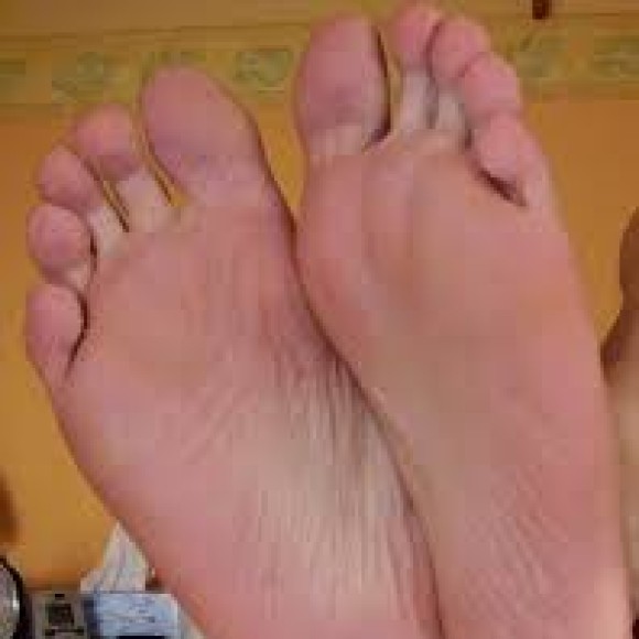 Profile photo of Jose Martenez