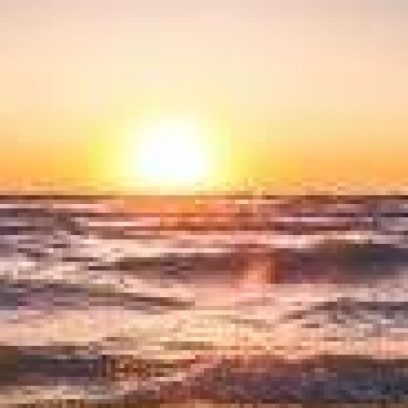 Profile photo of fae