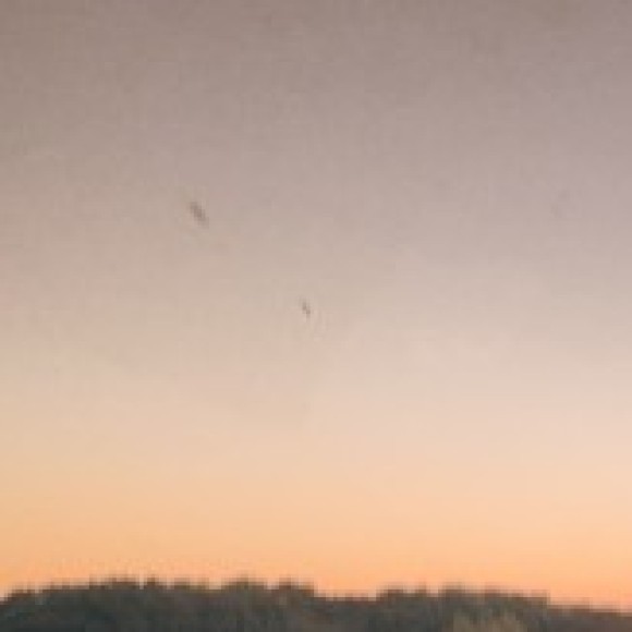 Profile photo of Vanessa