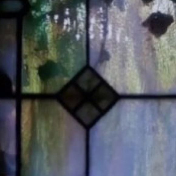 Profile photo of Noctura