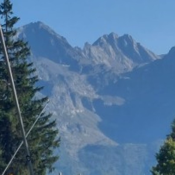 Profile photo of Rome