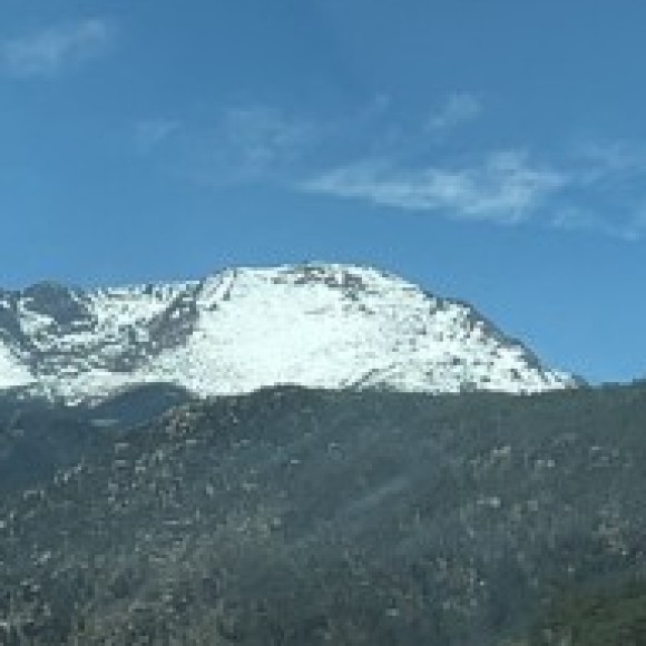 Profile photo of Vix