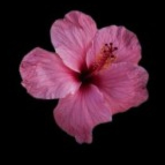 Profile photo of Zoe