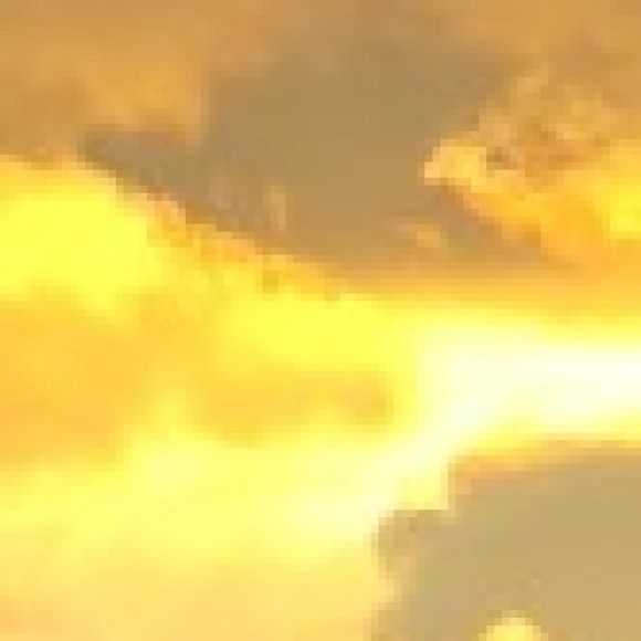 Profile photo of Mya