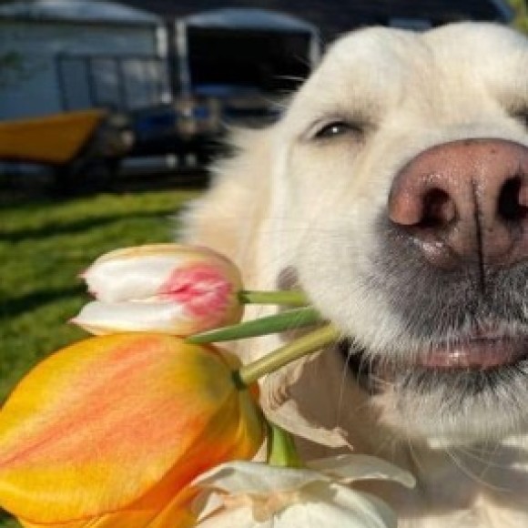 Profile photo of Magdalena