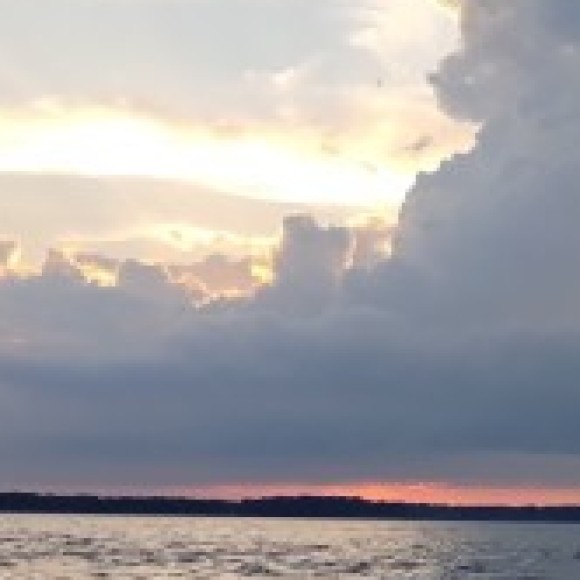 Profile photo of Olivia Kernohan