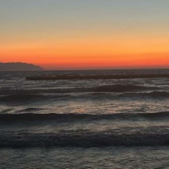 Profile photo of Mel