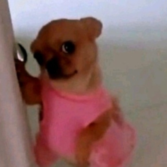 Profile photo of Natalia