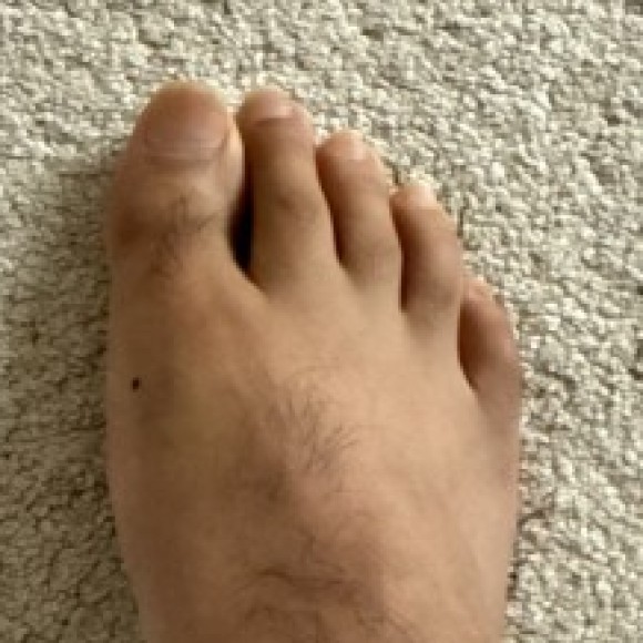 Profile photo of Harvy