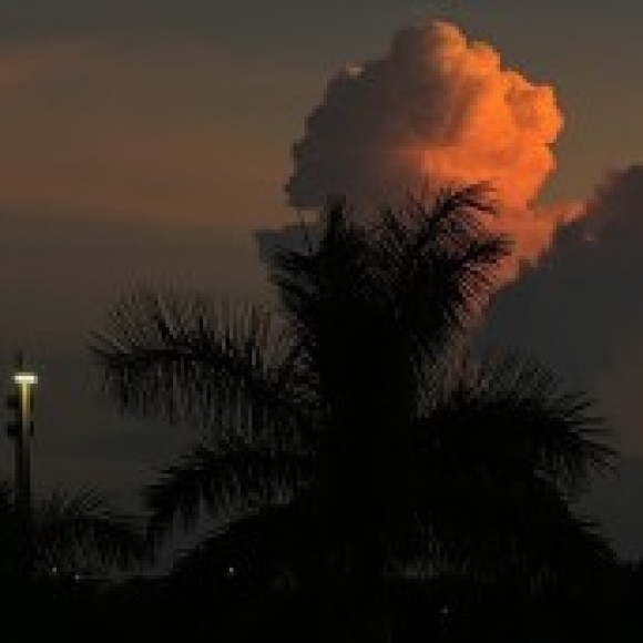 Profile photo of Jade