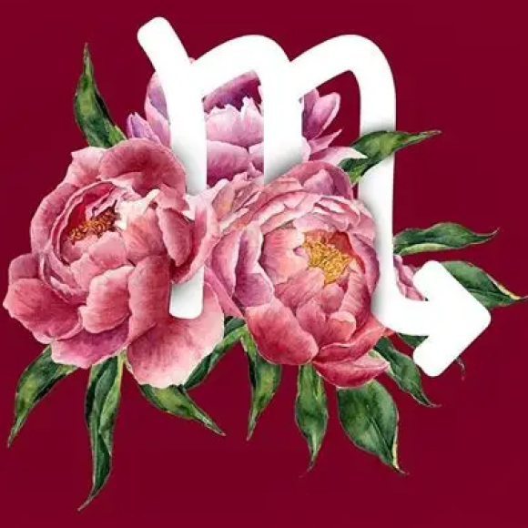 Profile photo of Tichina Stafford