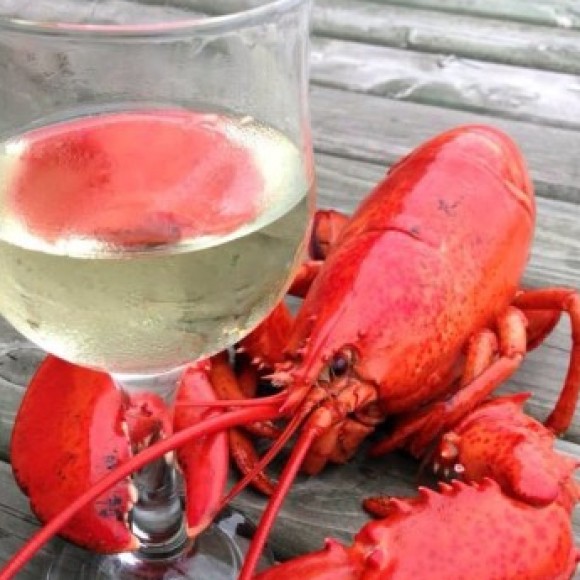 Profile photo of Madelyn