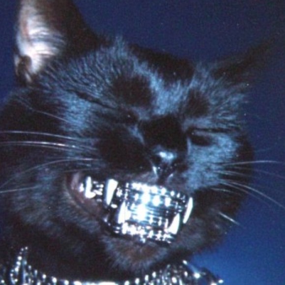 Profile photo of Nyx