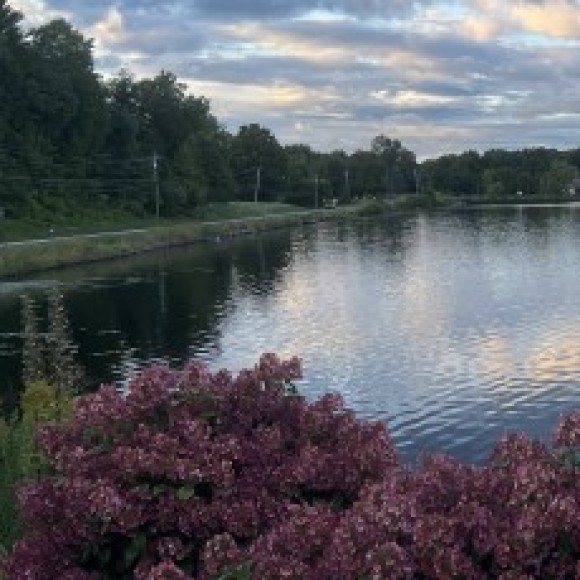 Profile photo of Shelly Pius