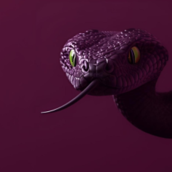 Profile photo of Lily