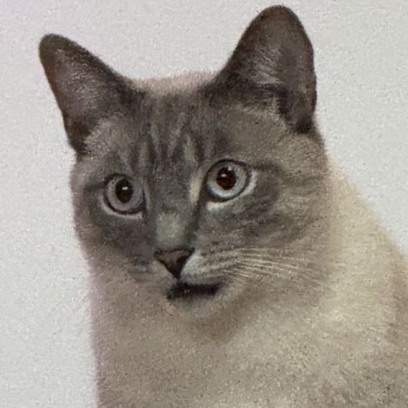 Profile photo of Maya