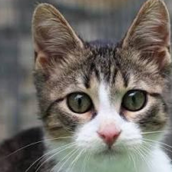 Profile photo of Sarah