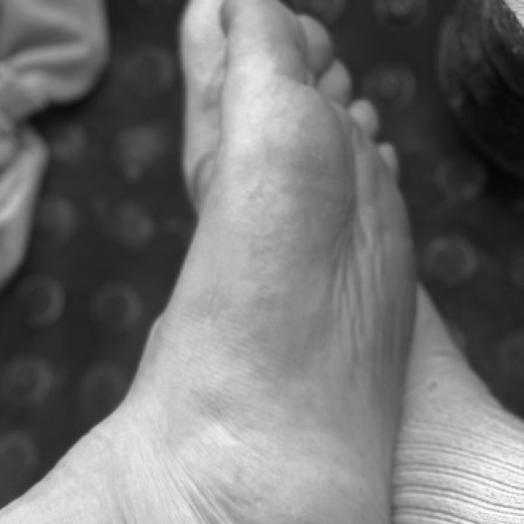 Profile photo of Bibester