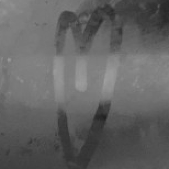 Profile photo of kitty