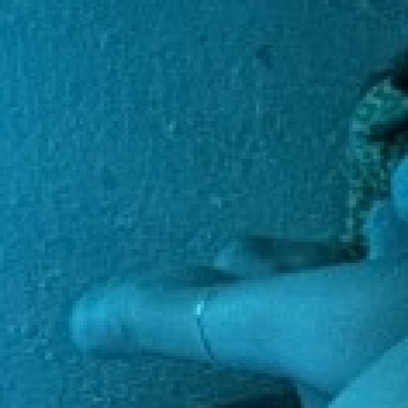 Profile photo of Joss