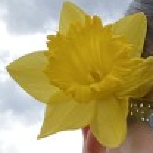 Profile photo of Denise Whyte