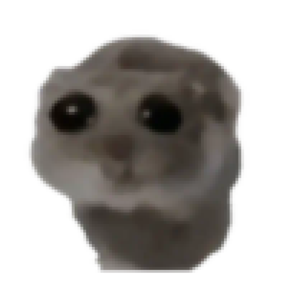 Profile photo of lily