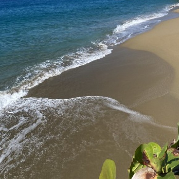 Profile photo of Rosairys