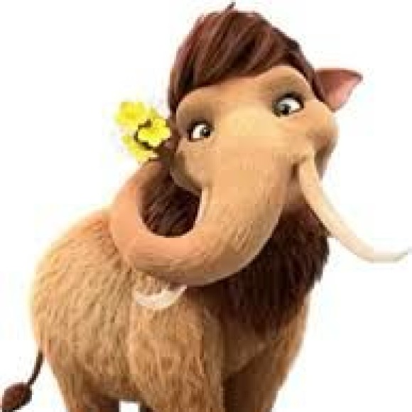Profile photo of Rita