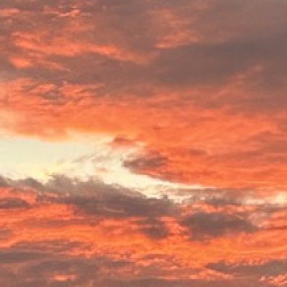 Profile photo of Celeste Davis