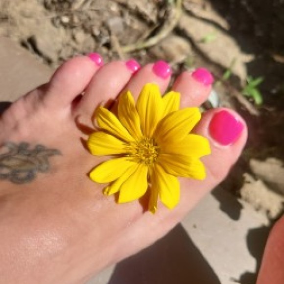 Profile photo of Kash