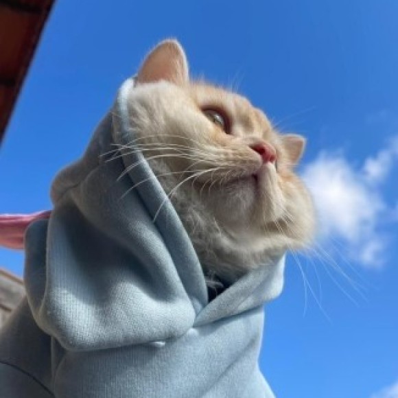 Profile photo of Stephen