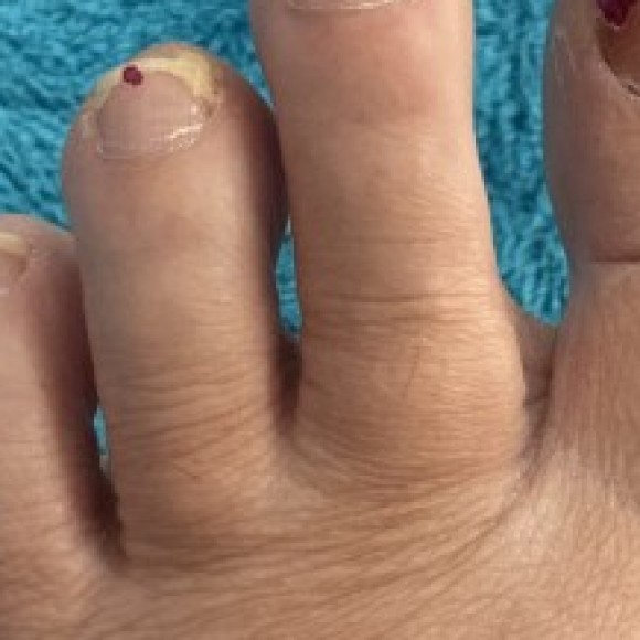 Profile photo of Dana