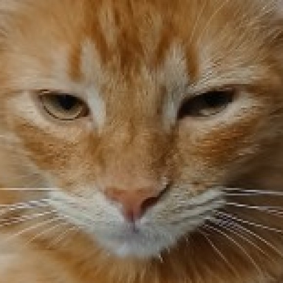 Profile photo of Eva