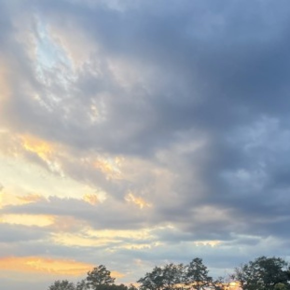 Profile photo of Violet