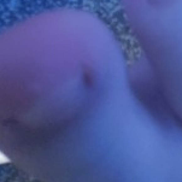 Profile photo of Lara jones