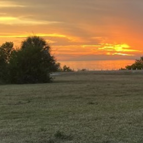 Profile photo of Dalphia