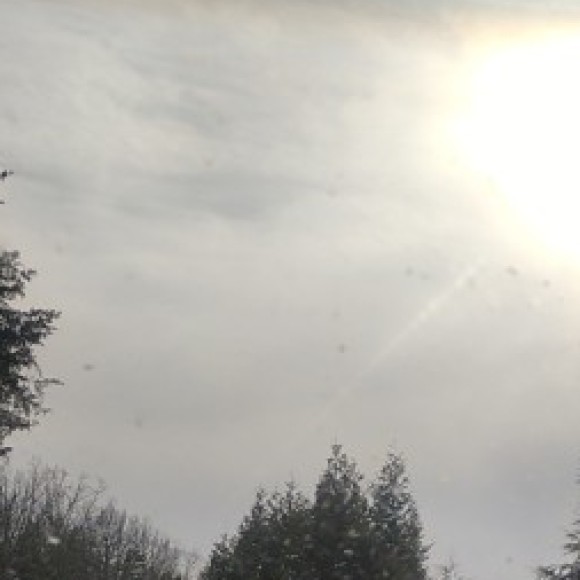 Profile photo of Destiny