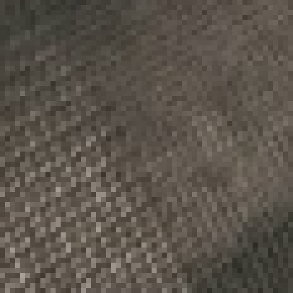 Profile photo of carly