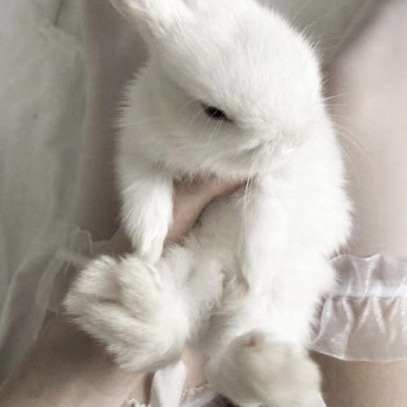 Profile photo of vani