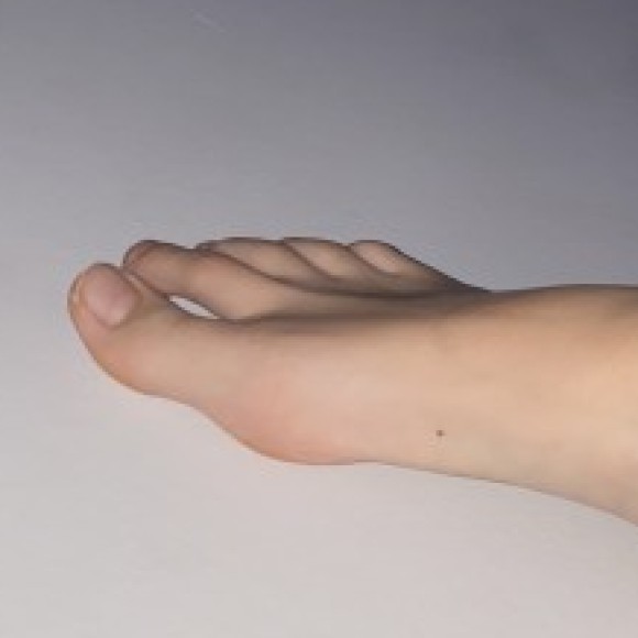Profile photo of stooopkia