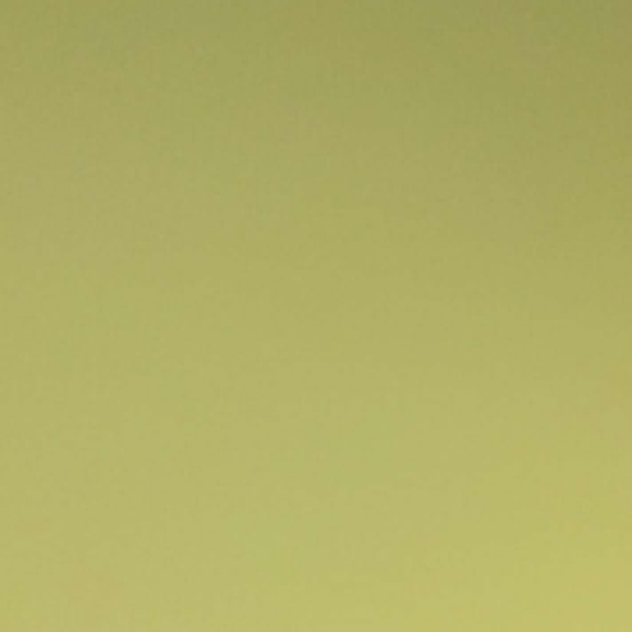 Profile photo of Rose