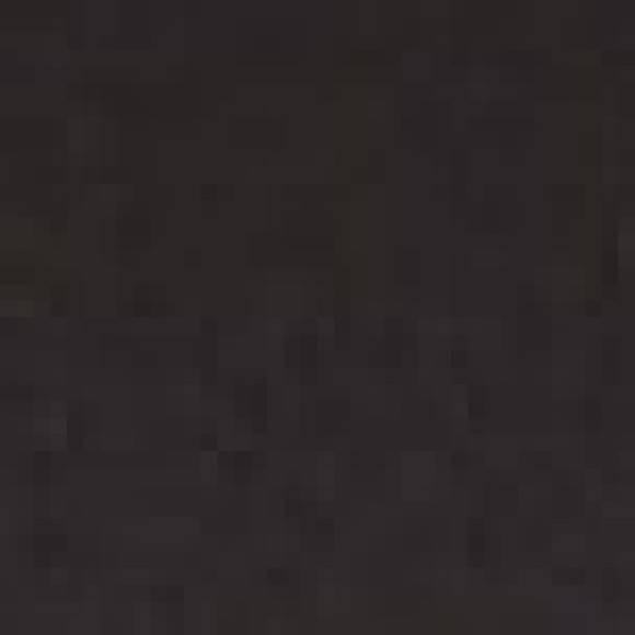 Profile photo of Arianna
