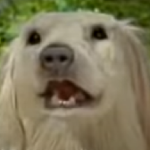 Profile photo of Goonerbot