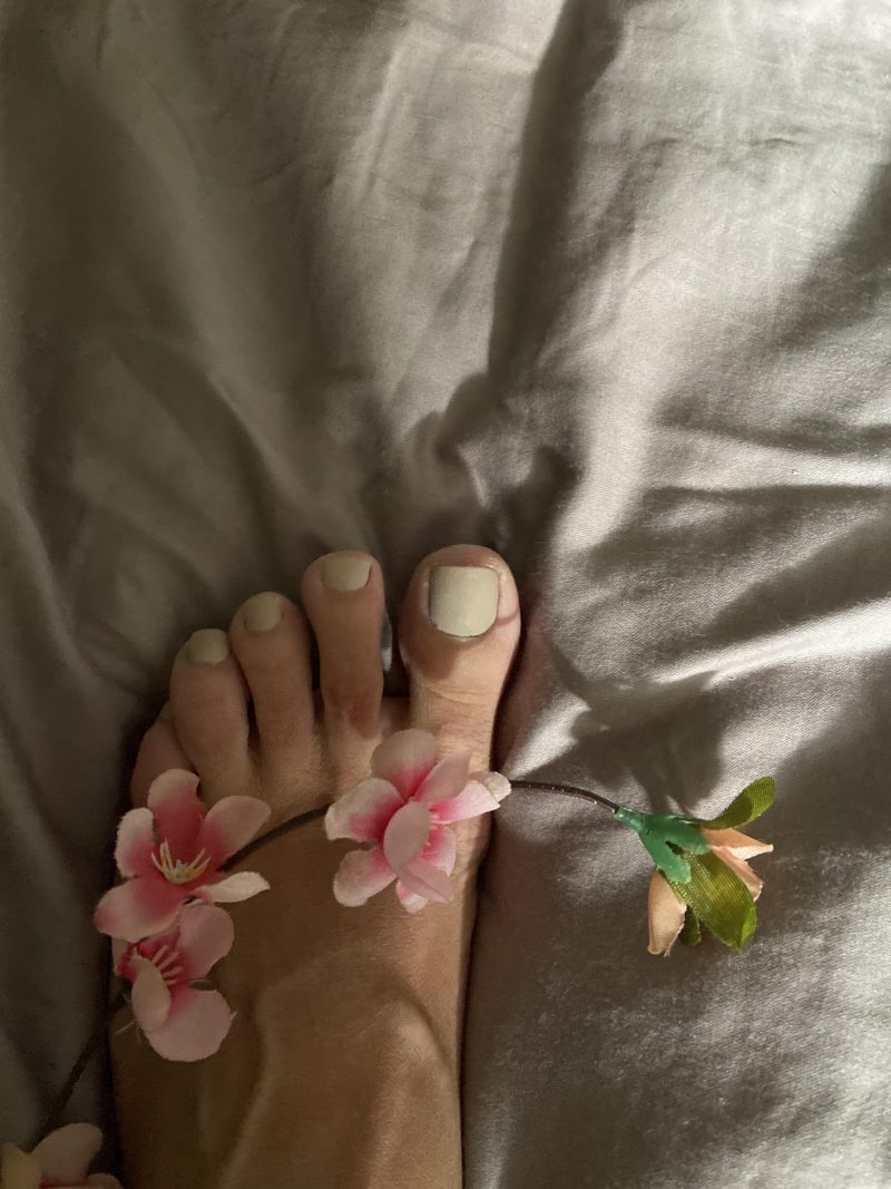 9e29463a-8d2f-4fc6-b4b5-9dbc41c5c68e