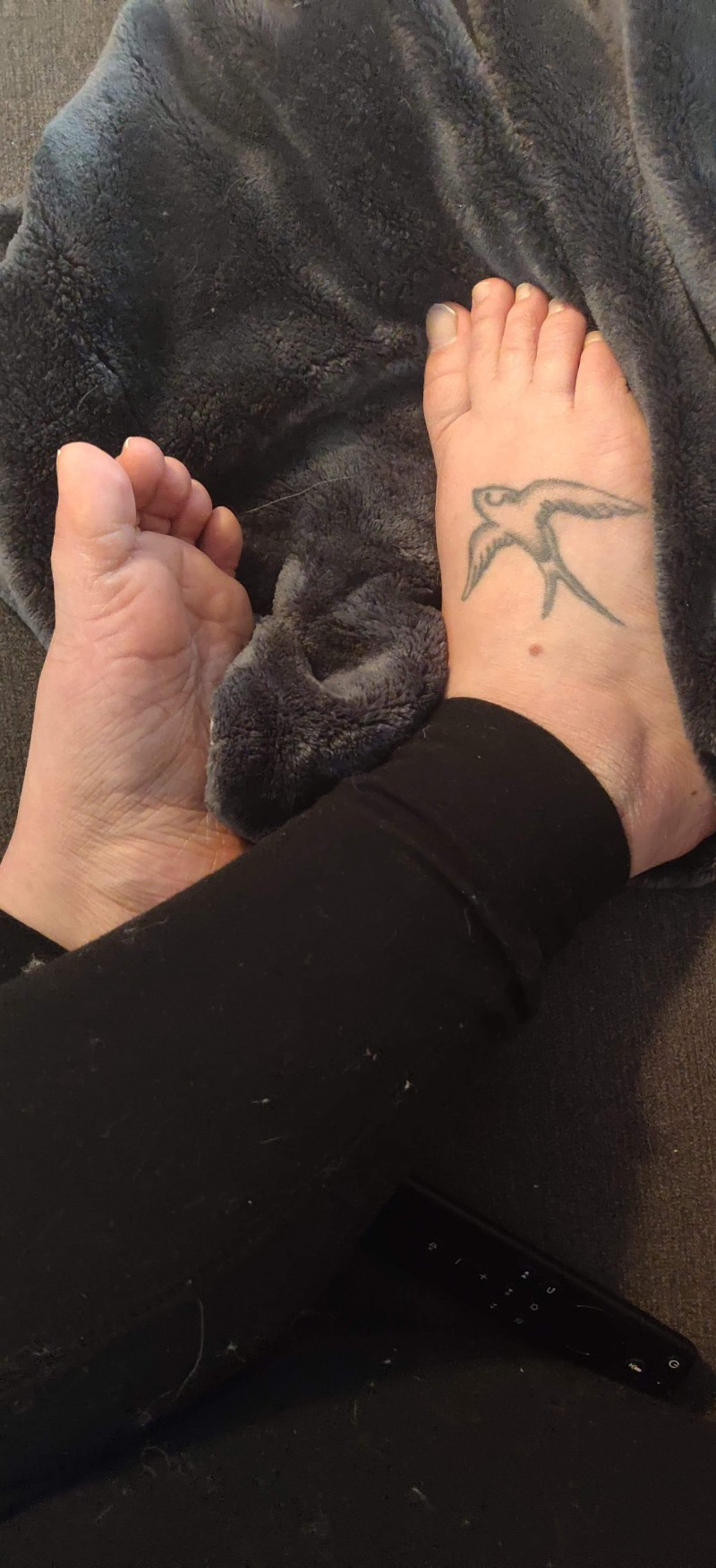 received_225537535509986